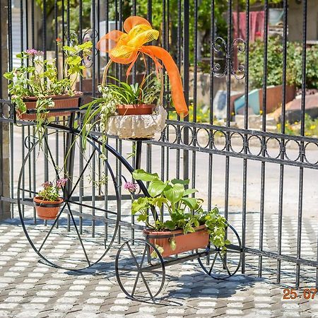 Guest House Meridi Priseltsi Экстерьер фото